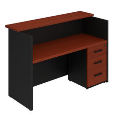 Alternative view of Recepción Modelo 5054