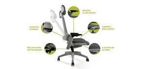 Sillas con Soporte Lumbar