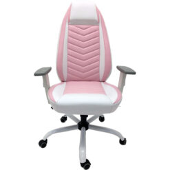 SIlla Gamer