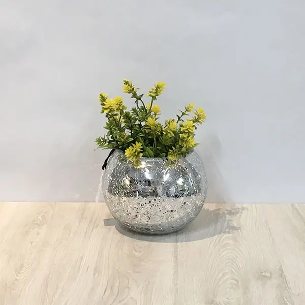 Arreglo Modelo ACC-023