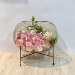 Arreglo Modelo ACC-027