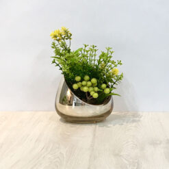 Arreglo Modelo ACC-039