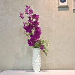 Arreglo Modelo ACC-044