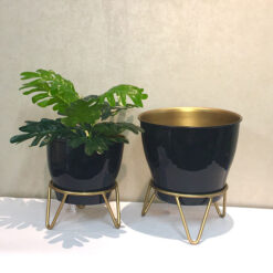 Maceta de Mesa Modelo ACC-017