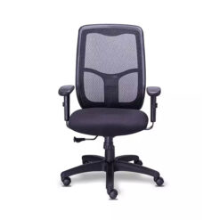 Sillón Ejecutivo Requiez