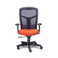 Sillón Ejecutivo Requiez