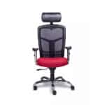 Sillón Ejecutivo Requiez