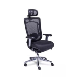 Sillón Ejecutivo Requiez