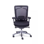 Sillón Ejecutivo Requiez