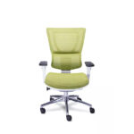 Sillon ejecutivo Requiez
