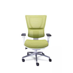 Sillon ejecutivo Requiez