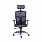 Sillón Ejecutivo Requiez