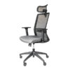 Sillon Ejecutivo Modelo Arla Cabecera Requiez