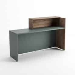 Módulo de Recepción Modelo 6131