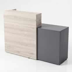 Modulo-de-Recepcion-Modelo-6131